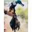 Mojo Elite Series Spoonzilla - Mallard Drake Decoy