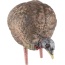 Avian X Lcd Feeder Hen Decoy -