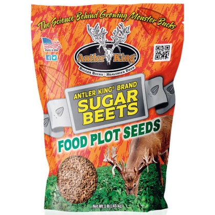 Antler King Sugar Beets 1# Bag - Annual 1-8 Acre