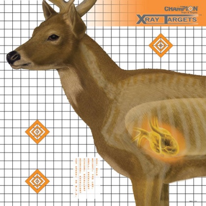 Champion X-ray Target Deer - 25\