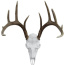 Mountain Mike's Deer Skull Kit - Record Keeper Incl Positioner